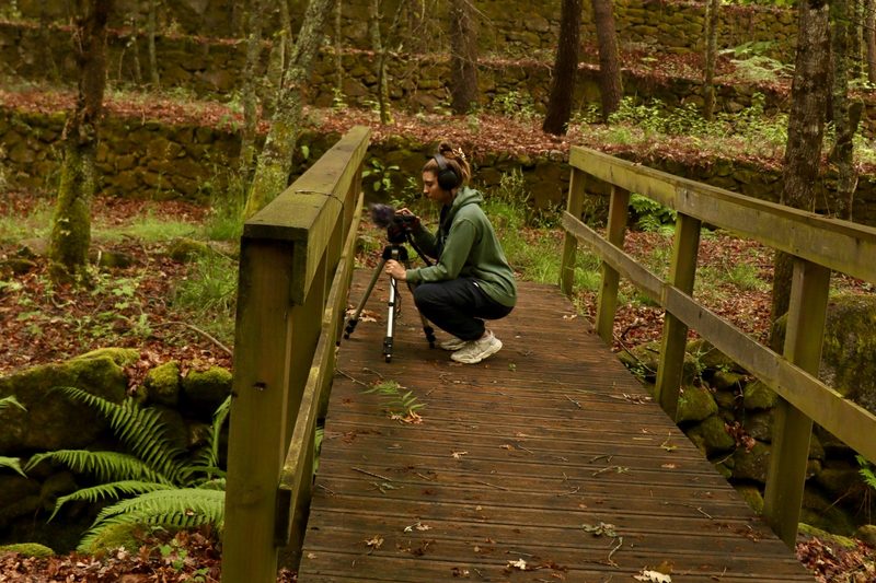 Field recording on a wooden footbridge in a forest